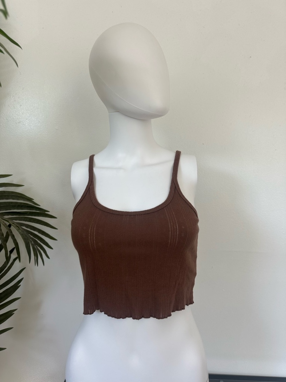 Colsie brand Women's Brown Ribbed Cropped Tank Top